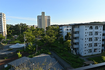 緑豊かな公園