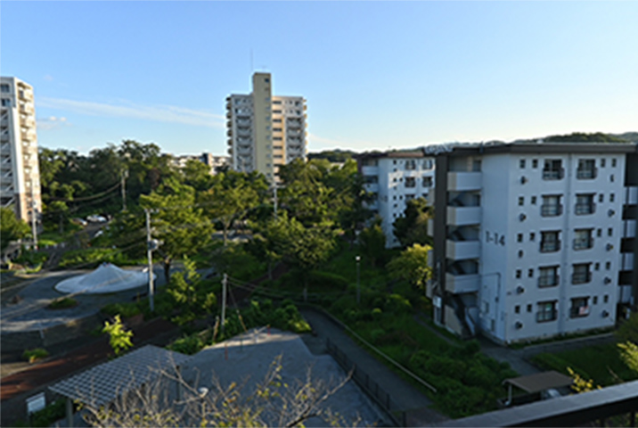緑豊かな公園