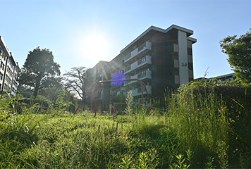 緑豊かな公園
