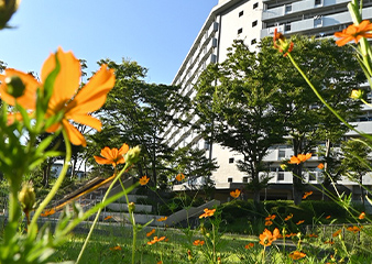 緑豊かな公園