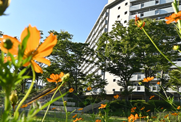緑豊かな公園