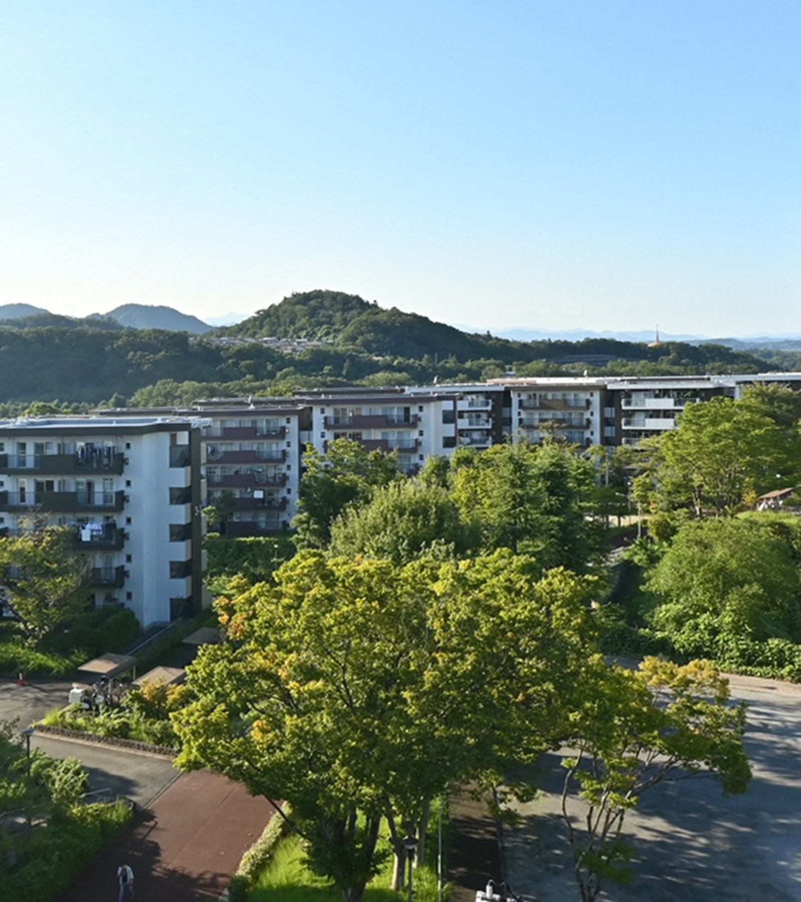 館ヶ丘団地の魅力